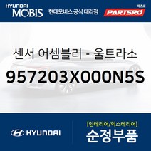 현대모비스 센서 울트라소닉 BWS (957203X000N5S), 1개