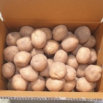 2022년 감자 두백감자 상/ 중&조림사이즈 20kg 10kg 5kg 3kg, 1박스, 5kg 상