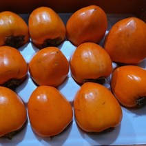지리산 대봉감 대봉시 10kg 곶감용 벌크포장 42-50과, 상세페이지 참조, 상세페이지 참조