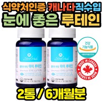 식약처인증 루테인 눈 영양제 빌베리 블루베리 x2통 온가족 어린이 키즈 청소년 아이 초등학생 중학생 아동, 2개
