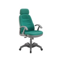 중역의자 임원용 사장님 사무실책사의자 컴퓨터 학생책상 실험실 피시방, 그린