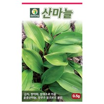 산마늘 씨앗 0.5g 명이나물 산마늘씨 민속 채소 종자