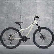 2022 알톤 샌드스톤1.0D 27.5인치 산악MTB자전거, 무광베이지