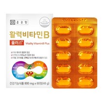 특별기획 비타민B 종근당 활력 고농축 비타민B군 2개월분, [특별할인1+1] 60정 x 2 (4개월분), 2개