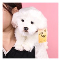 갓샵 진짜같은 말티즈 강아지인형 25cm [갓샵 동물 애착 귀여운 봉제인형]