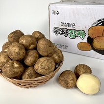 [기린]당일발송 품질보장 국내산감자 햇감자 수미감자 2kg 3kg 5kg 1BOX, 23년햇감자, 왕특(큰사이즈)