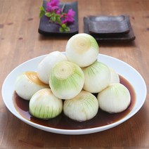 해남화원농협 이맑은 양파장김치 3kg