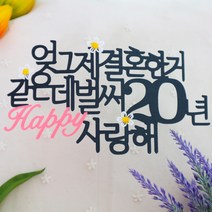 스프링데일 결혼 기념일 20주년 여행 부부 토퍼, 1개