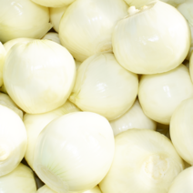 기찬꾸러미농산물 국내산 손질(깐) 햇 양파 1kg, 1개