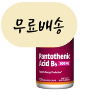 자로우 판토텐산 B5 500mg 100캡슐 재로우판토텐산, 판토텐산 B5 100캡슐, 1개, 100개