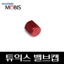 튜익스 밸브캡 D3529AP040, 1개