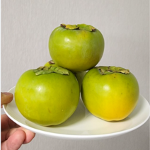 한정판매)고당도 아삭 햇태추 단감 배단감 중과 중대과 2kg 3kg 5kg, 5kg 중대과, 1개