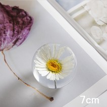 데이지 프랑스국화 문진 오브제 장식용품 책 여자친구 집들이 선물 플라워 페이퍼 촬영소품, 7CM 데이지 문진