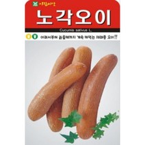 맛이 좋은 노각오이씨앗(50립) (A0135)