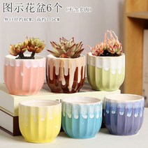 다육화분 다육이 심폴 화분 식물 미니 화분세트, 도자기, 옵션23