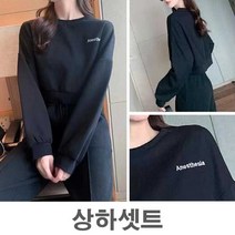 나미나라 헬스장 십대 편한바지 저렴한 체육 런닝 긴팔 빅 여자 단체 5W9B8543