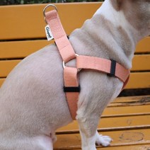 글로펫 부드러운 Y형 하네스 .글로펫, 블루|S(가슴둘레31cm~40cm)