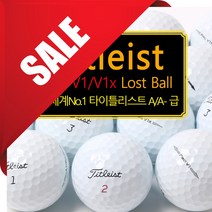 중고골프공 타이틀리스트 로스트볼 PROV1 V1X AVX 혼합 화이트 10알 A등급 A-등급, A등급/A-등급(혼합)