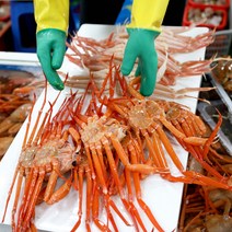 포항 산지직송 자숙 홍게 박달 라면용 실속 고급형 프리미엄 수율 다리 특대 쩌서파는 먹는법 90, <A-4>연지홍게 고급형 (자숙12마리)” class=”wr-img”></a></div>
</div>
</div>
</div>
<div class=