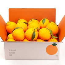 깨비농원 제주 한라봉, 4.5kg(중과,16-20과), 1개