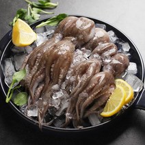 국내산 주꾸미(급냉)1kg(15~25미내외), 단품