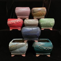 (6/7일만 할인) 예운: 거품 정사각분 8색상 용인수다육, 녹색