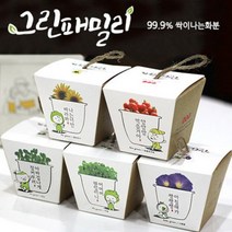 봄꽃화분 식물키우기 미니 화분 정원만들기 그린패밀리_잔디화분, 02_마마의 허브(바질)