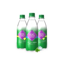 몽베스트 탄산수/탄산음료 (40병), 탄산수 플레인 500mLx40병