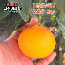 당일수확 고당도 제주 카라향 가정용 3kg 5kg 10kg 제주도귤, 선택2. 상품 5kg, 1개