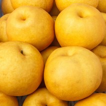 가정용 햇 나주배, 1box, 15kg 대과/중대과 (14~25과)