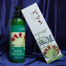 제주 백년초 선인장 바디 로션 제주도산 케어 600ml 346728EA, 쿠팡블루 1, 쿠팡블루 본상품선택