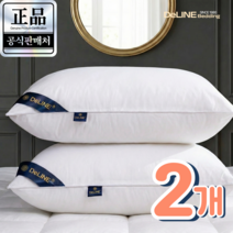 DeLINE 호텔 5성급 고중량 항균 베개 #01오리지널 , 화이트, 2개