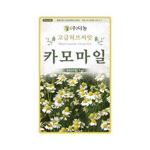 허브씨앗 케모마일 씨앗 5000립 카모마일 일년초, 단품