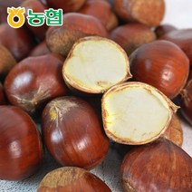 순창군조합공동사업법인 [농협] 순창 햇 알밤 특 1kg x 4팩, 1