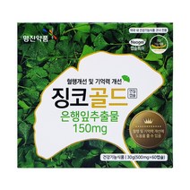 은행잎추출물 혈행개선 기억력개선 영진약품 징코골드 60캡슐, 1개, 60정