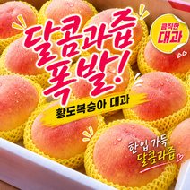 [한정특가] 고당도 황도복숭아 제철 산지직송, 1개, 중대과 4kg