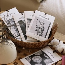 4+1 아로니카 무드센트 샤쉐 옷장방향제 5P, 화이트로즈부케 5P