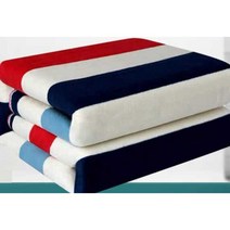 차량용전기요 카라반 트레일러 심플 방석 바닥 온열기, 24V 일반모델 - (170x65CM)