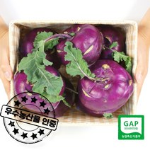 우수농산물 GAP 인증 농장직송 당일수확 제주 햇 콜라비 특대, 특품 콜라비 10kg