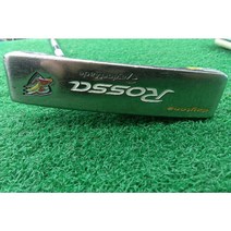 퍼터 테일러메이드 ROSSA AGSI DAYTONA/R강도