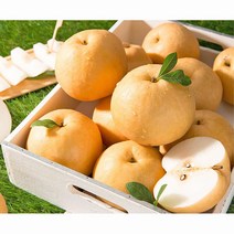15kg 배즙 배숙 차례상 가정용 신고 배 감사선물 신선