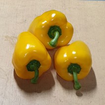 홍파 노파 주파 못난이파프리카 5kg 국내산 백산상회, 1박스, 노파5kg