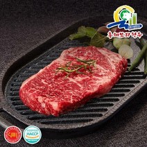 다온푸드 [총체보리한우]1++등급 채끝 500g, 단품없음