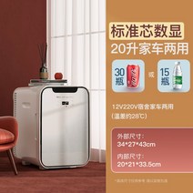 초미니냉장고 술장고 냉온장고 음쓰냉장고 미니 냉장고 자동차 휴대용 원룸 차박 캠핑 초소형, F