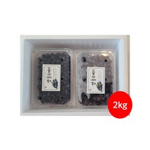 2개 고창 친환경블루베리원과1kg 생과 냉동과