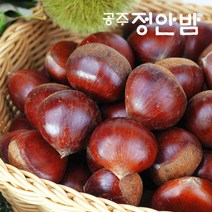 22년산 공주밤 정안 알밤 햇밤 4kg(특품/개당25g내외), 단품