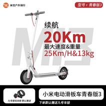 기함급 전동 두발 킥보드 2인 대리기사 묘기 배달용 이동수단 주니어 성인 바퀴큰 앉아서타는, 36V, 20km/  킥보드 청춘버전 3-화이트 9호