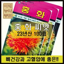 23년산 국산 홍화 씨앗 100립- 약용식물 꽃씨, 1개