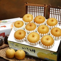 소담촌 나주배 7.5kg(가정용), 7.5kg(6~10과)가정용, 9월22일-9월25일발송