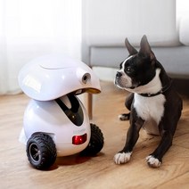 DOGNESS 펫케어 반려동물 로봇 강아지 간식 로봇 움직이는 강아지 장난감 펫캠, 핑크